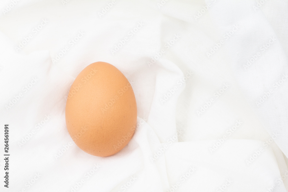 Fresh chicken egg on white cloth for food and easter holiday background Fresh chicken egg on white cloth for food and easter holiday background