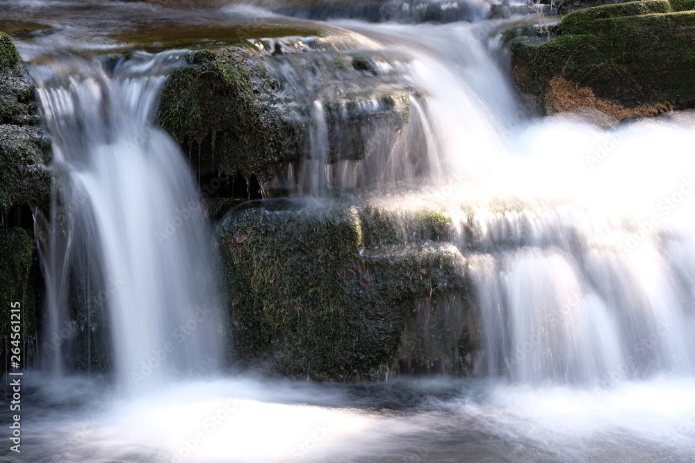 Fototapeta premium Mohelnice - mountain river