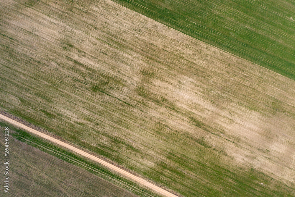 field, view from above