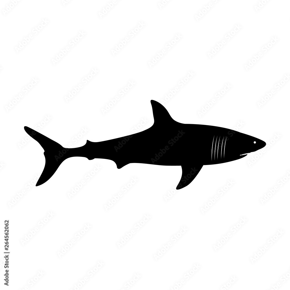 Fototapeta premium Shark icon, logo isolated on white
