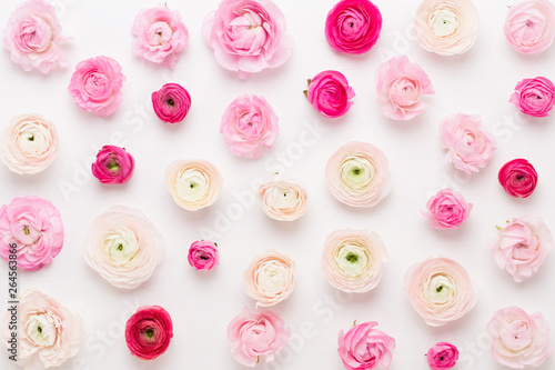 Beautiful colored ranunculus flowers on a white background. Spring greeting card.