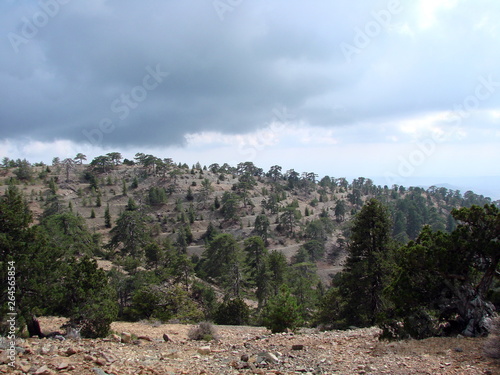 The landscape of the gray rain clouds touching the tops of forest trees on the mountain ridge with the sun shining.