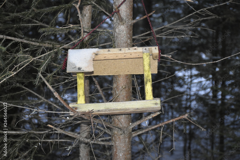 Naklejka premium nesting box
