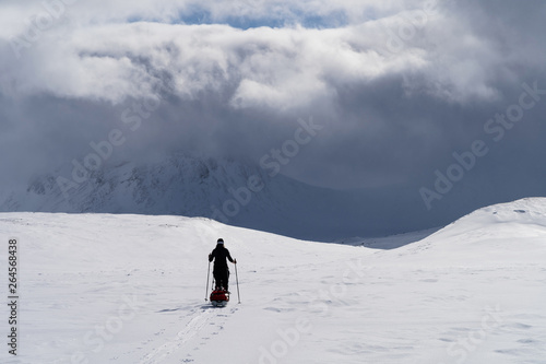 Cross-country skier with sled (pulk) skiing into the bad weather in Sarek National Park, Swedish Lapland.  photo