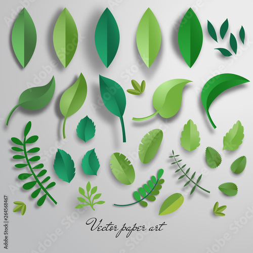 Foto Vector set of paper cut leaves.