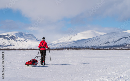 Female cross-country skier with sled (pulka) on the famous Kungsleden trail in Lapland. Sweden.