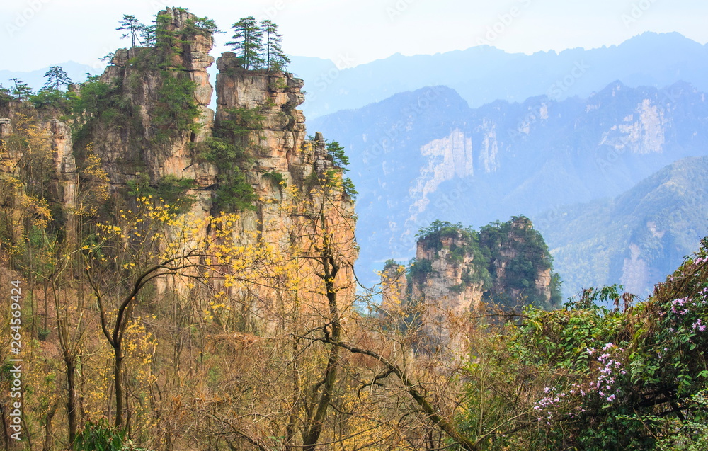 Zhangjiajie National Park,Hunan province. China. Avatar mountains