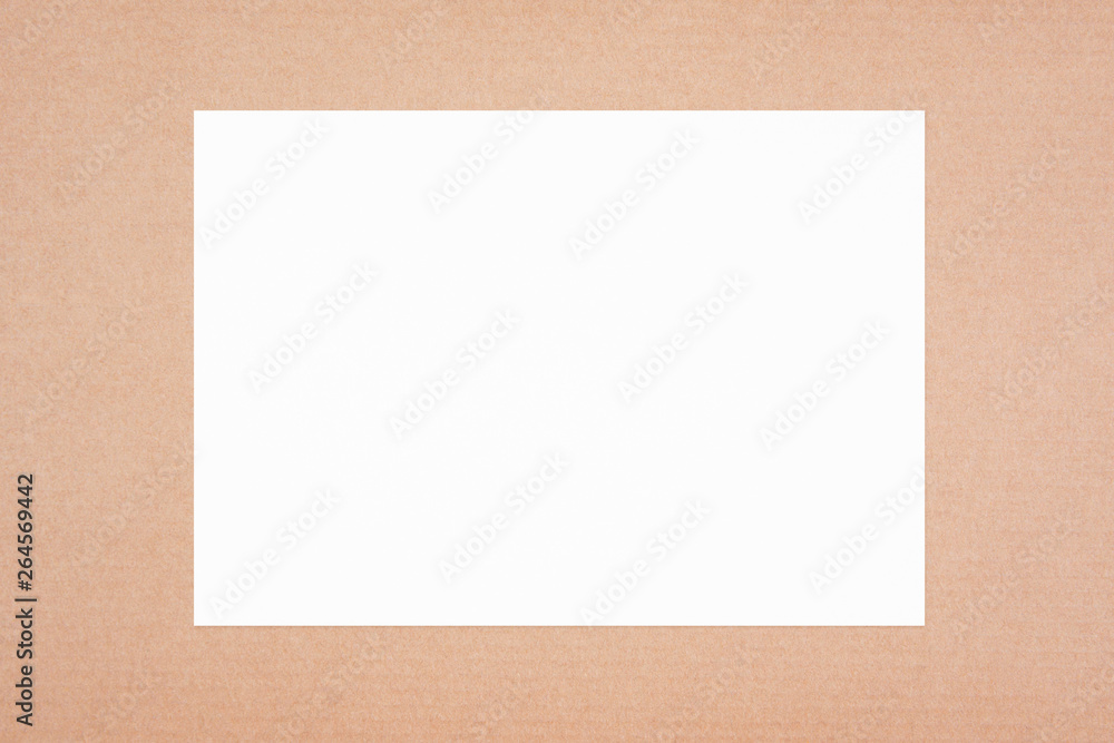 Paper texture background Paper texture background
