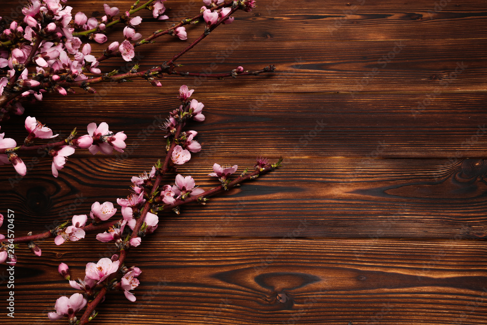 Fototapeta premium Peach blossom on old wooden background. Fruit flowers.