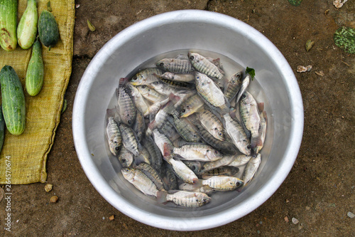 Fish on the market in the Mekong Delta - Vietnam