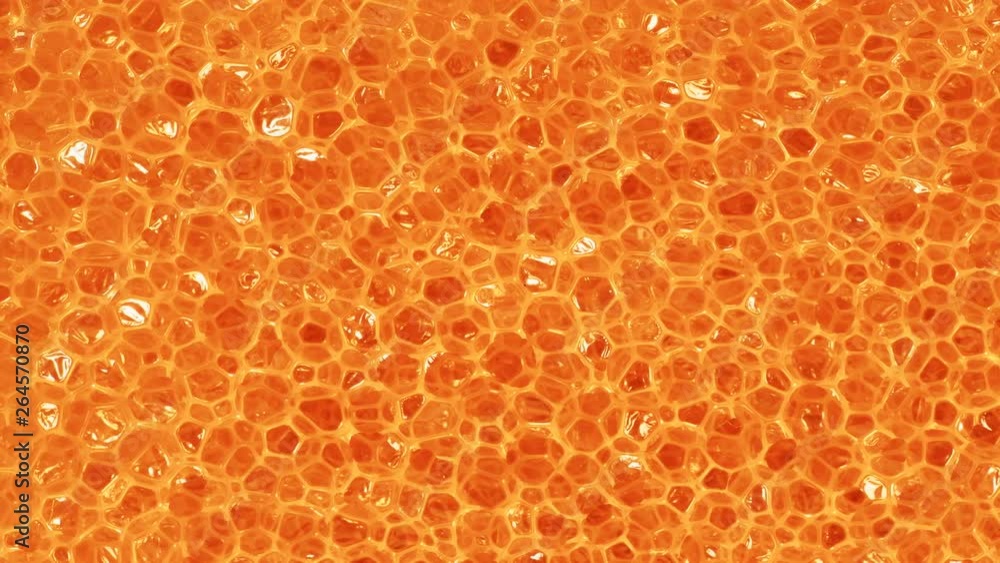 Close up of orange foam sponge as background Close up of orange foam sponge as background