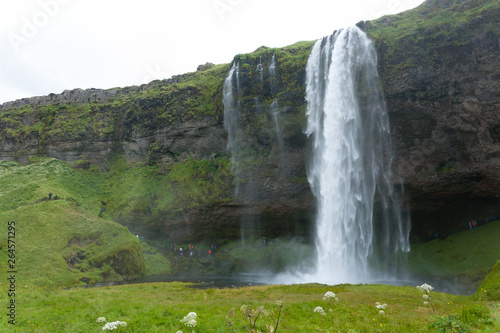 Seljalandsfoss falls in summer season view  Iceland