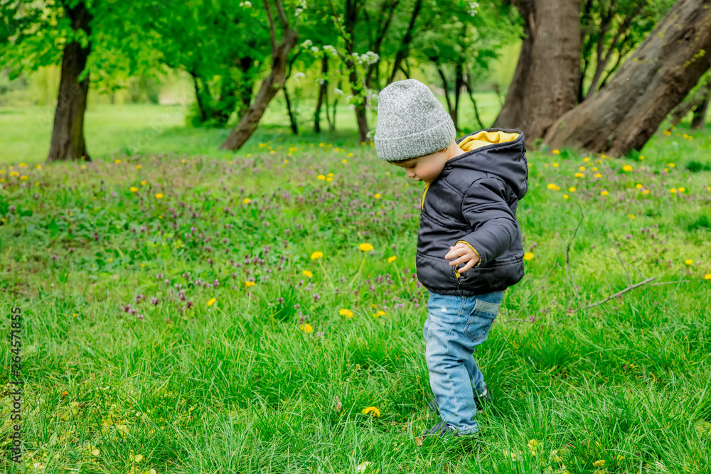 Little toddler boy in jacket and hat in spring time park Little toddler boy in jacket and hat in spring time park