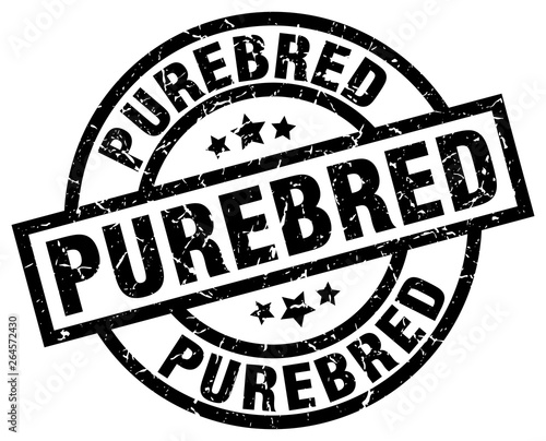 purebred round grunge black stamp