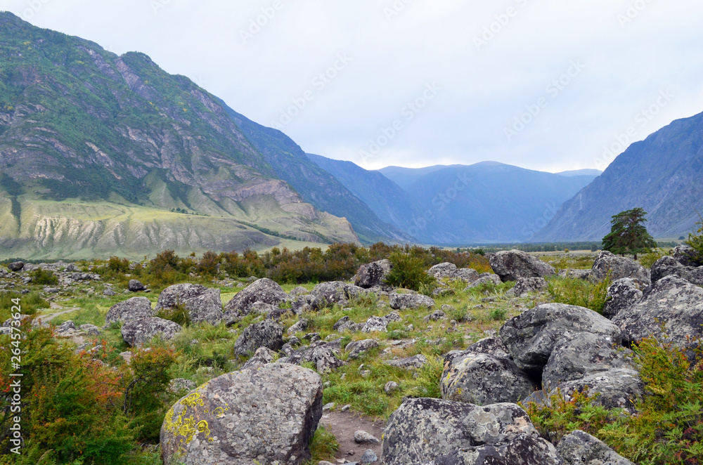 Mountain Altai. The valley of the river Chulcha Mountain Altai. The valley of the river Chulcha