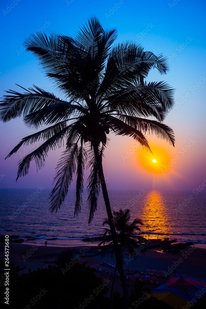 Fototapeta premium Pink and blue sunset at the beach with coconut tree on a hill.