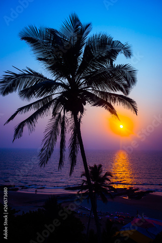 Pink and blue sunset at the beach with coconut tree on a hill.