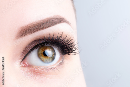 Eye with long eyelashes, beautiful makeup and light brown eyebrow close-up. Eyelash extensions, microblading, tattoo, permanent, cosmetology, ophthalmology concept
