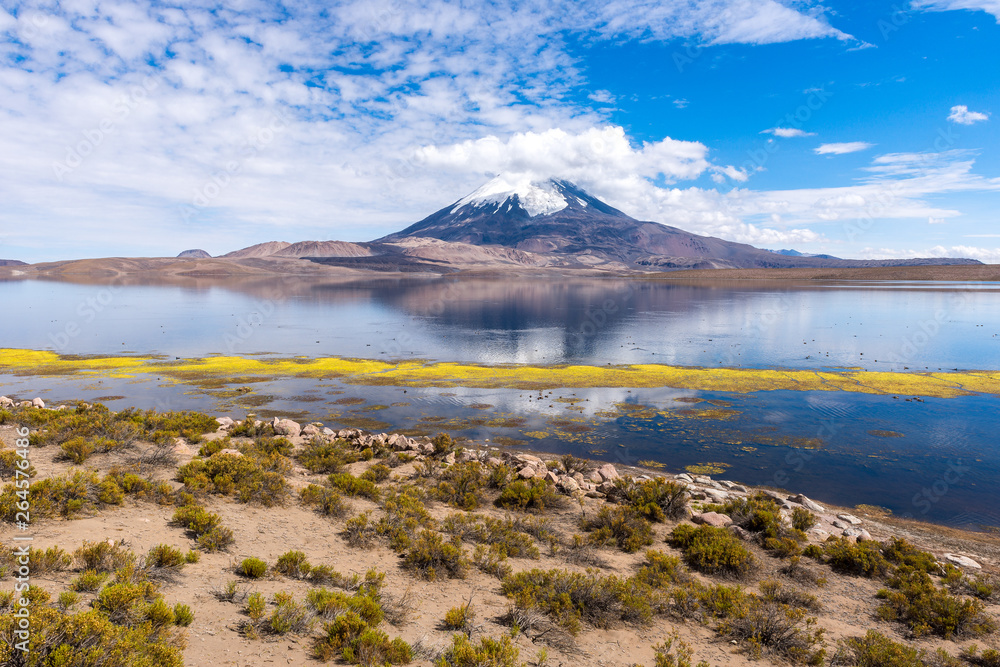 Parinacota volcano and Chungara lake, Lauca National Park, Chile