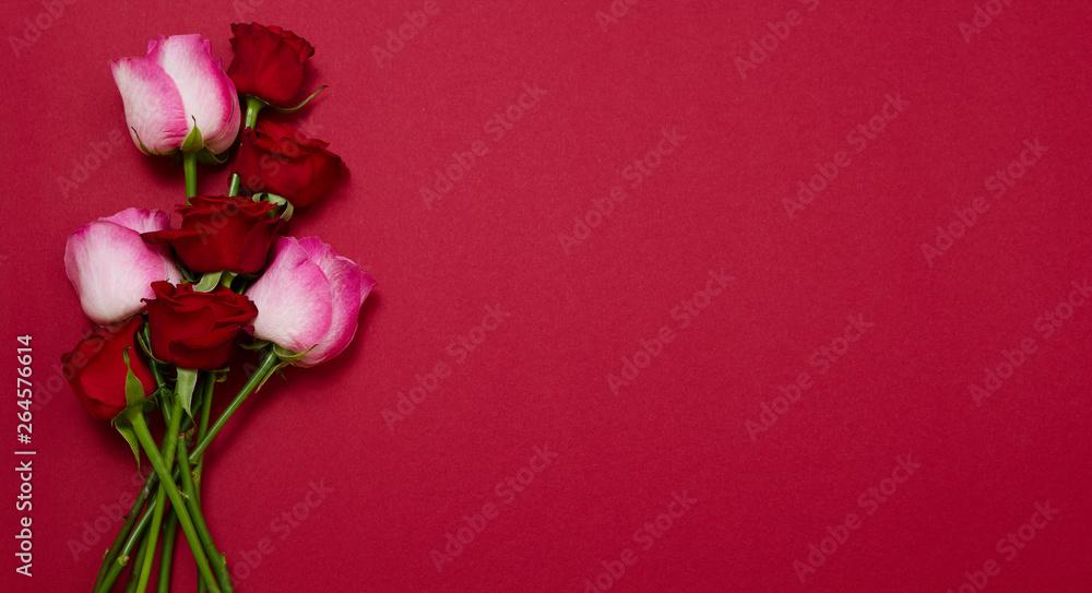 Roses on red background isolated. Top view and mock up. Mother and valentine day. Women holidays . Wallpaper and romantic concept. Flower rose bouquet . Flowers birthday gift. Banner Roses on red background isolated. Top view and mock up. Mother and valentine day. Women holidays . Wallpaper and romantic concept. Flower rose bouquet . Flowers birthday gift. Banner