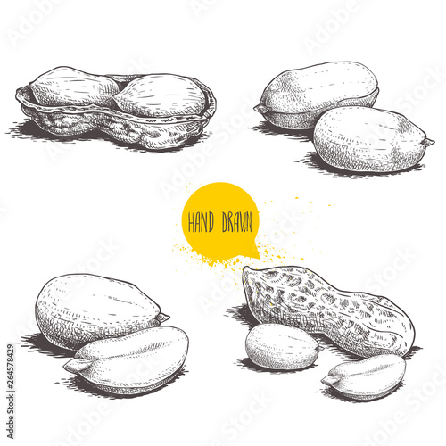 Peanuts sketch set. Hand drawn retro style vector illustrations of organic food. Seeds and shells. Single and group. Vintage engraving art. Isolated on white background.