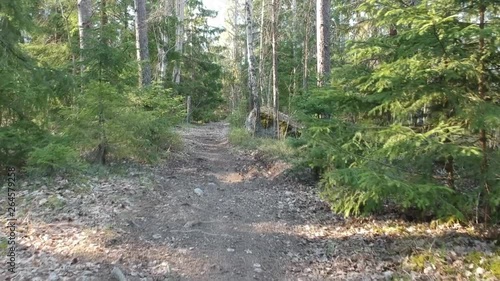 Flying over a little path in the woods. Vallentuna, Sweden photo