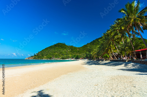 View of nice tropical beach with palm tree. Holiday and vacation concept. © Sloniki