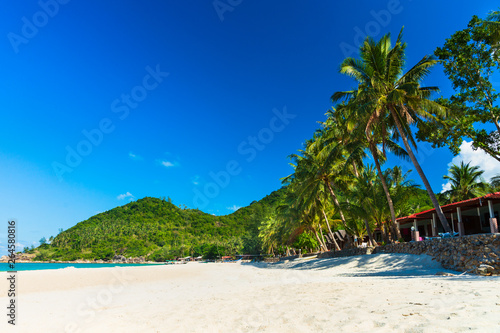 View of nice tropical beach with palm tree. Holiday and vacation concept.