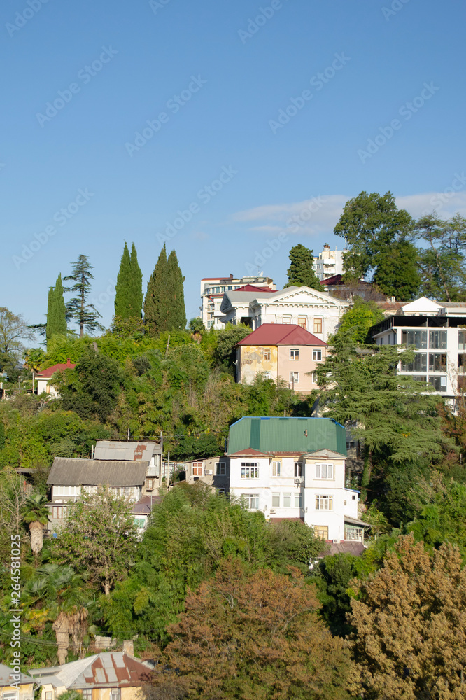 Summer landscape with the houses in the mountains