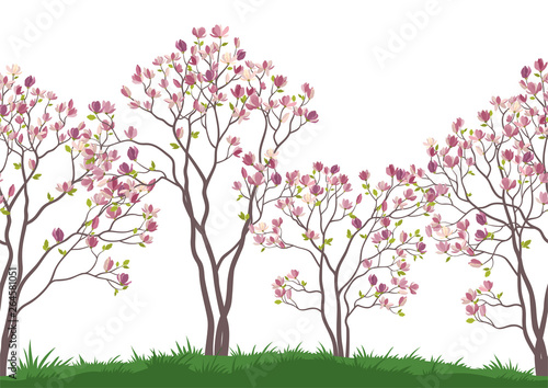 Horizontal Seamless Landscape, Spring Magnolia Trees with Pink Flowers and Green Leaves on Green Grass. Vector