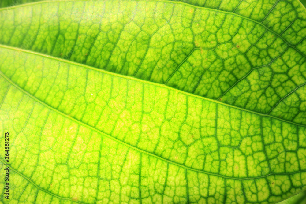 Beautiful lines Beautiful lines