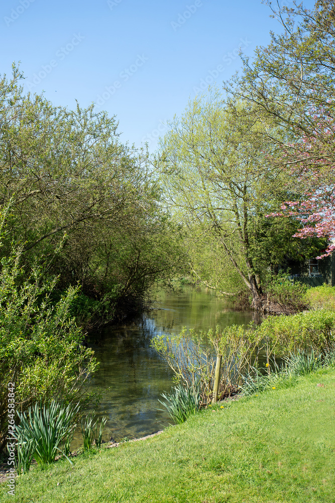 River stream canal in spring with flowers and trees River stream canal in spring with flowers and trees