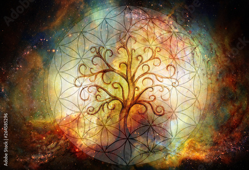 tree of life symbol and flower of life and space background, yggdrasil. photo