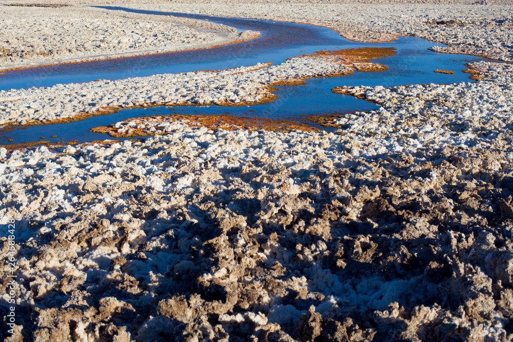 Salt crust in the shore of Chaxa lagoon in the middle of the Salar de Atacama (Atacama Salt Lake), Soncor, Atacama desert, Antofagasta Region, Chile, South America