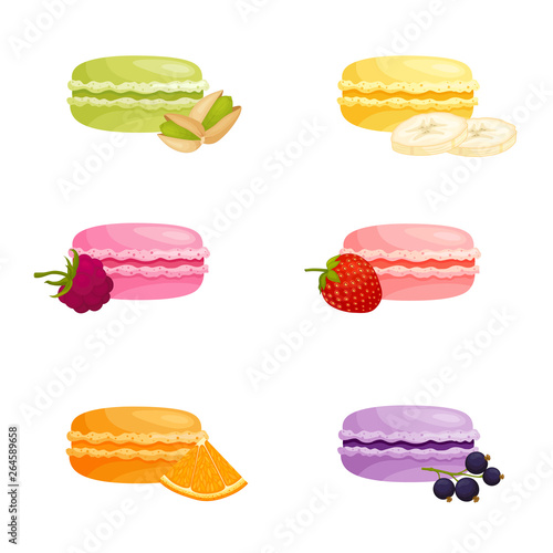 A set of macaroons with different fruit flavors. Traditional french pastry with cream. Vector illustration in cartoon style. Colorful macarons.