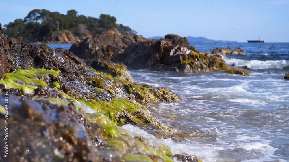 Waves on rocky coastline with green seaweeds. South of France, mediterranean sea. Static shot Waves on rocky coastline with green seaweeds. South of France, mediterranean sea. Static shot