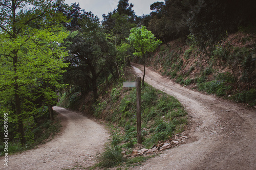 hike in collserola mountain's wood