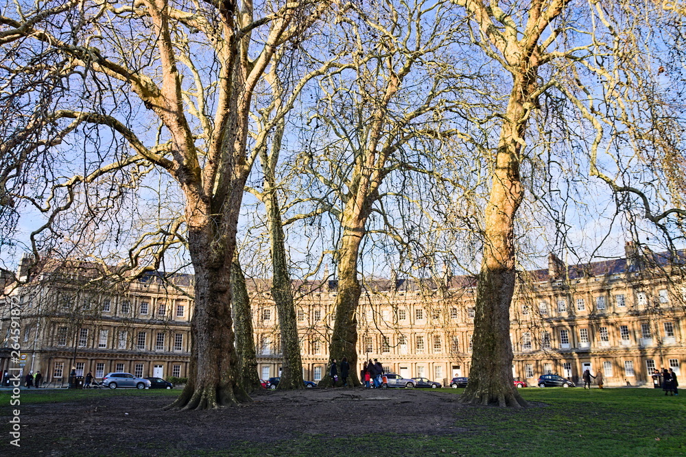 Bath, Somerset, England - December 23, 2018: Afternoon view of The Circus, a historic street of large townhouses, forming a circle with three entrances with a tree-lined garden in the middle