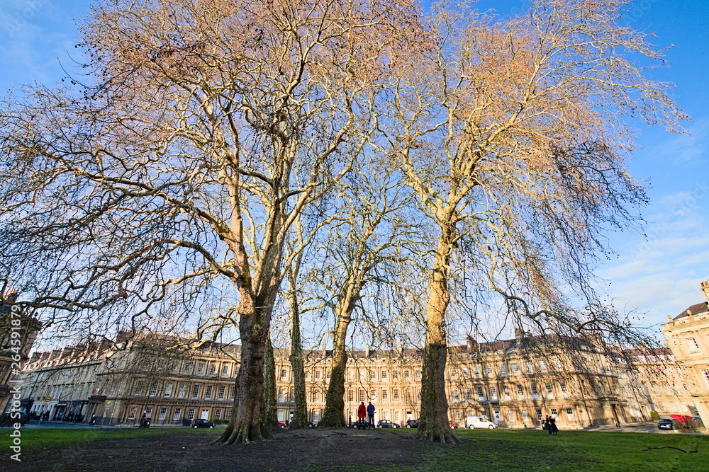 Bath, Somerset, England - December 23, 2018: Afternoon view of The Circus, a historic street of large townhouses, forming a circle with three entrances with a tree-lined garden in the middle Bath, Somerset, England - December 23, 2018: Afternoon view of The Circus, a historic street of large townhouses, forming a circle with three entrances with a tree-lined garden in the middle
