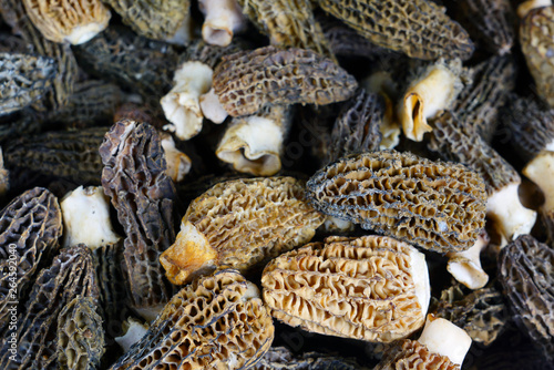 Fresh morel mushrooms at a farmers market in spring photo