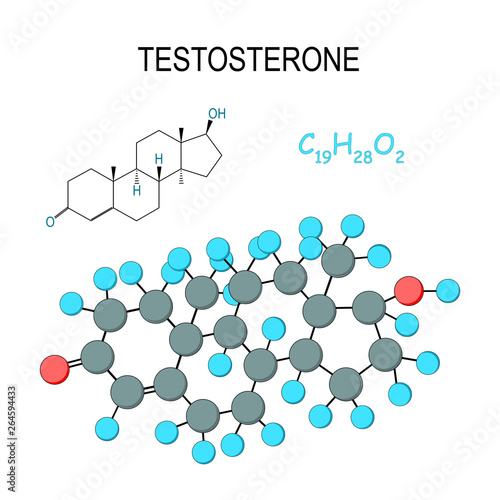 Testosterone. Chemical structural formula and model of molecule. C19H28O2