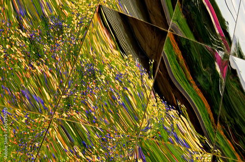 Distorted Flowers and Hedge reflected in large mirror mosaic, Olympic Park, London  photo