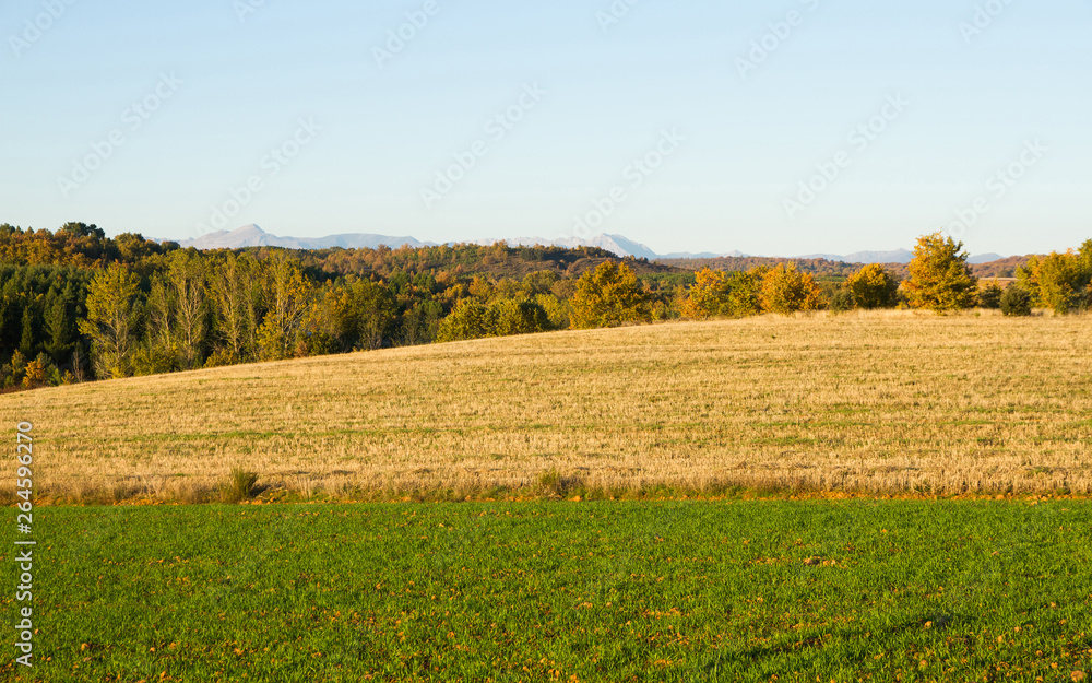 Autumn landscape with cultivated lands in the foreground and groves, oak and pine forests and mountains in the background on the plane last Autumn landscape with cultivated lands in the foreground and groves, oak and pine forests and mountains in the background on the plane last