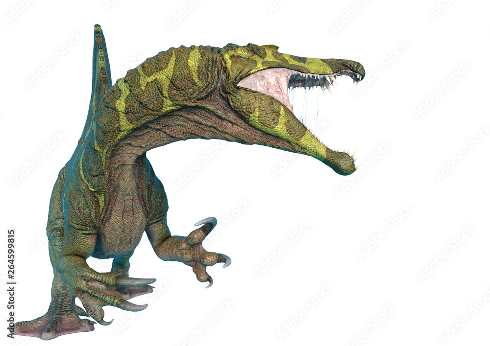 Fototapeta premium spinosaurus in white background and no shadows