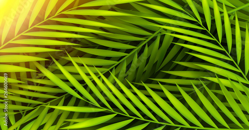 tropical palmtree background