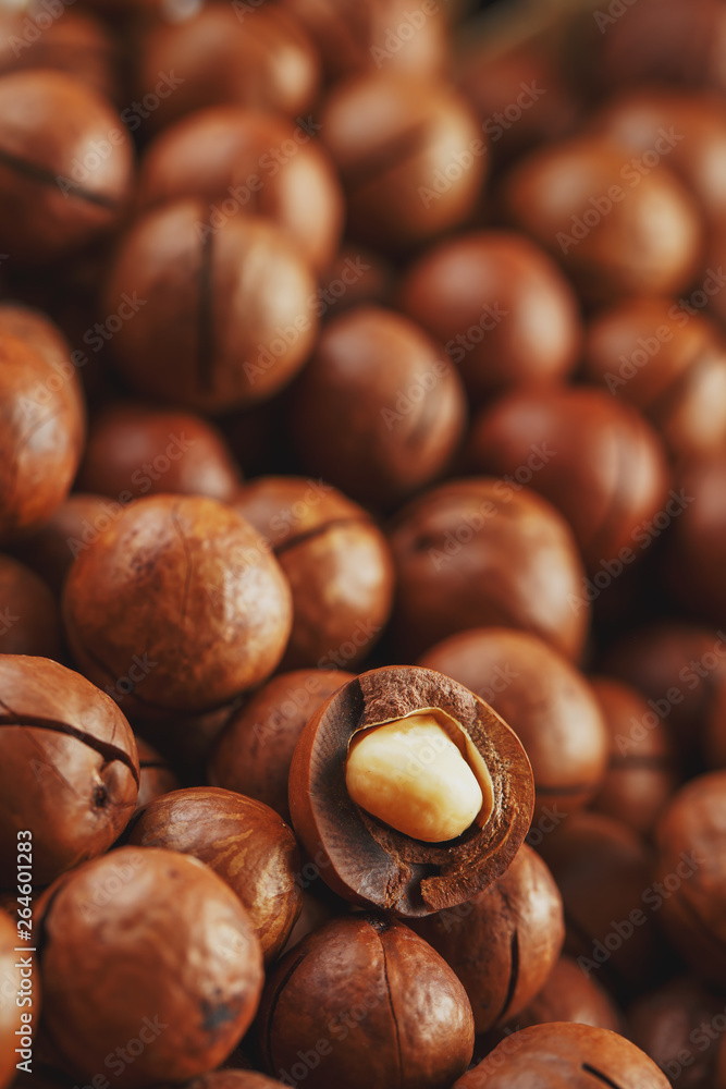 Texture of organic macadamia nut fresh natural fruit shelled one nut - vintage filter Texture of organic macadamia nut fresh natural fruit shelled one nut - vintage filter