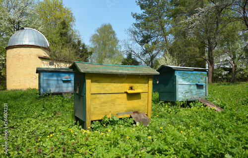 Beekeeping concept with bees, beehives and observatory.  Noosphere concept. © bildlove