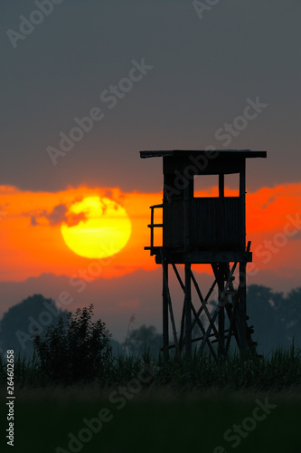 Hunting blind at sunrise, Bavaria, Germany, Europe