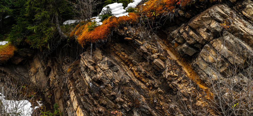 Close up view of rocks with trees, moss and snow. Close up view of rocks with trees, moss and snow.