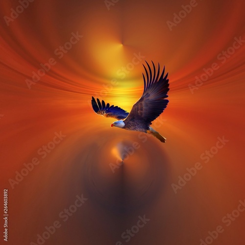 July 4th American bold eagle in the sky